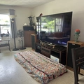 Room for rent in Clearwater #17