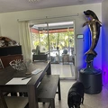 Room for rent in Clearwater #18