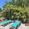 Room for rent in Clearwater #25