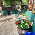 Room for rent in Arlington #3