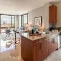 1 bedroom apartment for rent in Roosevelt Island - Manhattan, New York