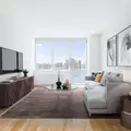 1 bedroom apartment for rent in LIC - Queens, New York