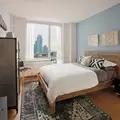 1 bedroom apartment for rent in LIC - Queens, New York