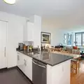 1 bedroom apartment for rent in LIC - Queens, New York