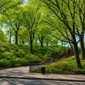 4 bedrooms apartment for rent in Morningside Heights - Manhattan, New York
