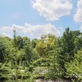 4 bedrooms apartment for rent in Harlem - Manhattan, New York