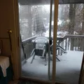 Room for rent in Silver Spring #7