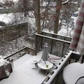 Room for rent in Silver Spring #8