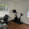 Room for rent in Palms #4