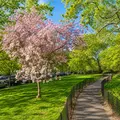 1 bedroom apartment for rent in Upper West Side - Manhattan, New York