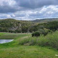 Room for rent in Steiner Ranch #1