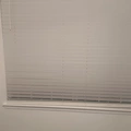 Room for rent in Plano #1