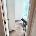 Coliving in Yonge-Eglinton - Midtown TO, Toronto