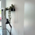 Coliving in Gastown - Downtown Van, Vancouver