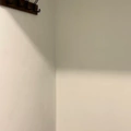 Coliving in Riley Park-Little Maontain - East Van, Vancouver