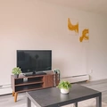 Coliving in Mount Pleasant - East Van, Vancouver