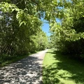 Room for rent in Mississauga #6