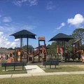Room for rent in Hunters Creek #11