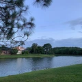 Room for rent in Hunters Creek #12