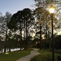 Room for rent in Hunters Creek #14