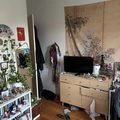 Room for rent in Bushwick #2