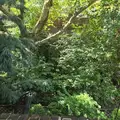 1 bedroom apartment for rent in Sunnyside - Queens, New York