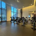 Studio Apartment for rent in Downtown Brooklyn - Brooklyn, New York