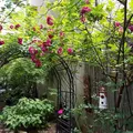 Studio Apartment for rent in Greenwich Village - Manhattan, New York