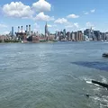 1 bedroom apartment for rent in Williamsburg - Brooklyn, New York