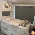 Room for rent in Oakwood Village #1