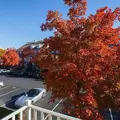 Room for rent in Jersey City #13