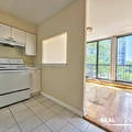 2 bedrooms apartment for rent in Gold Coast - Central, Chicago