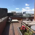Studio Apartment for rent in Harlem - Manhattan, New York