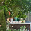 1 bedroom apartment for rent in Williamsburg - Brooklyn, New York