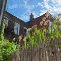 1 bedroom apartment for rent in Williamsburg - Brooklyn, New York