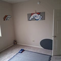Room for rent in Centennial #3