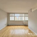 Studio Apartment for rent in Gold Coast - Central, Chicago