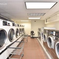 1 bedroom apartment for rent in Harlem - Manhattan, New York