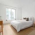1 bedroom apartment for rent in Williamsburg - Brooklyn, New York
