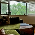 Room for rent in Gold Coast #7