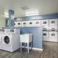 1 bedroom apartment for rent in Riverdale - The Bronx, New York