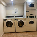 2 bedrooms apartment for rent in Flatbush Ditmas Park - Brooklyn, New York