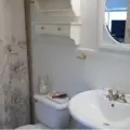 Room for rent in Clearwater #1
