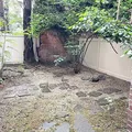Studio Apartment for rent in Murray Hill - Manhattan, New York