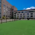 Room for rent in South Of Market #22