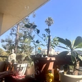 Room for rent in Santa Monica #6