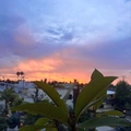 Room for rent in Santa Monica #5