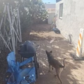 Room for rent in Central City #8