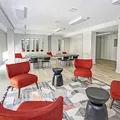 1 bedroom apartment for rent in Bedford Stuyvesant - Brooklyn, New York