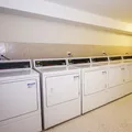 1 bedroom apartment for rent in Bedford Stuyvesant - Brooklyn, New York